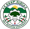 Oda Bultum University